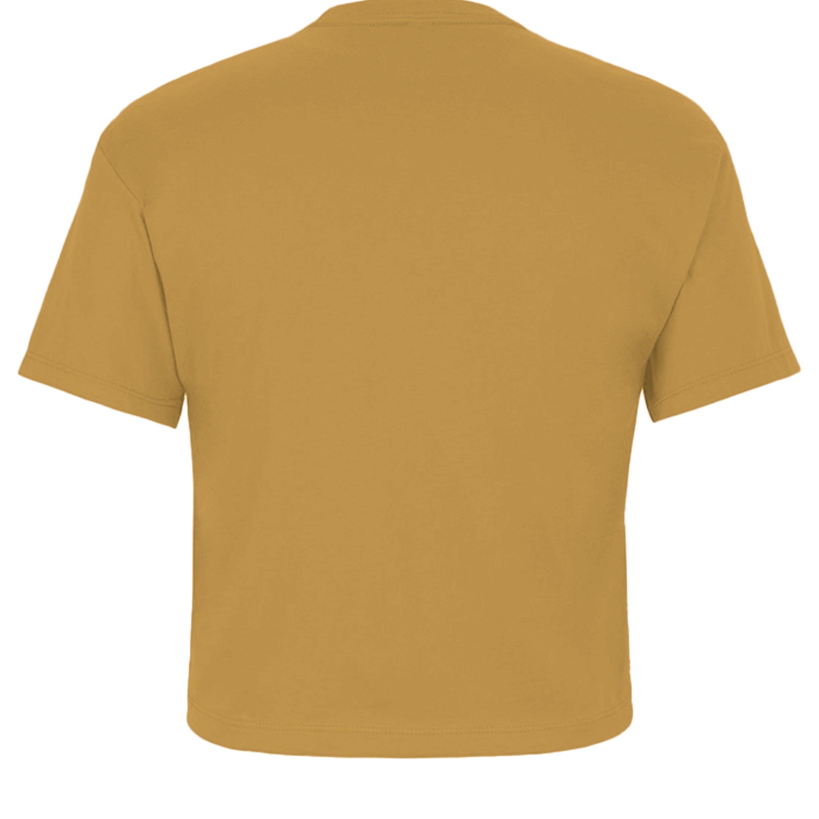 Antique Gold - 1580NL - BACK
